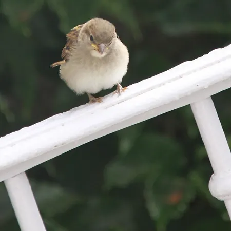 Le Doux Nid Couette-café