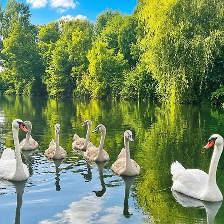 Nocleg ze śniadaniem Le Doux Nid